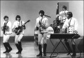 Paul Revere and the Raiders, Noise11, Photo