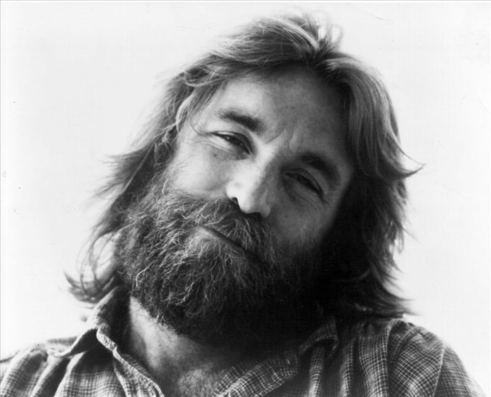 Dennis Wilson Biopic Stopped
