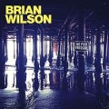 Brian Wilson No Pier Pressure
