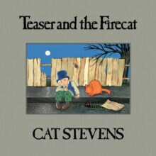 Cat Stevens Teaser and the Firecat