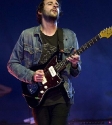 Foals