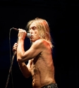 Iggy & The Stooges, Photo By Ian Laidlaw