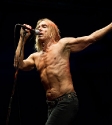 Iggy & The Stooges, Photo By Ian Laidlaw