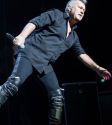 Cold Chisel photo by Ros O\'Gorman