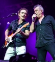 Cold Chisel photo by Ros O\'Gorman