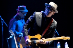 Elvis Costello