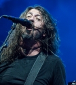 Dave Grohl Foo Fighters. Photo by Ros OGorman