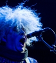 Melvins, Photo By Ian Laidlaw