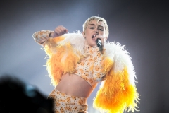 Miley Cyrus 2014