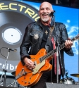 The Black Sorrows One Electric Day. Photo by Ros O'Gorman