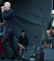 Peter Garrett and the Alter Egos. Photo Ros O'Gorman