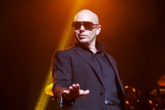 Pitbull