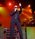 Pitbull: Photo Ros O'Gorman