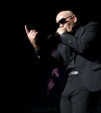 Pitbull: Photo Ros O'Gorman