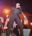 Pitbull: Photo Ros O'Gorman