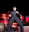 Pitbull: Photo Ros O'Gorman