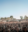 Crowd. Photo by Ros O'Gorman