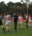 Reclink Community Cup - Photo By Ros O'Gorman