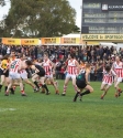 Reclink Community Cup - Photo By Ros O'Gorman