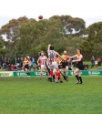 Reclink Community Cup - Photo By Ros O'Gorman