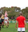 Reclink Community Cup - Photo By Ros O'Gorman