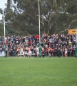 Reclink Community Cup - Photo By Ros O'Gorman