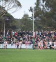 Reclink Community Cup - Photo By Ros O'Gorman