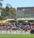 Reclink Community Cup Melbourne 2013, Photo By Ros O'Gorman