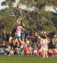 Reclink Community Cup Melbourne 2013, Photo By Ros O'Gorman