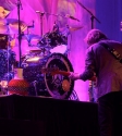 Ringo Starr's All Starr Band, Festival Hall, Photo By Ros O'Gorman