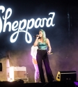 Sheppard Photo By Ros OGorman