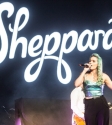 Sheppard Photo By Ros OGorman