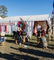 Splendour in the Grass, Photo By Ian Laidlaw