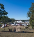 Splendour in the Grass, Photo By Ian Laidlaw