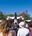 Splendour in the Grass, Photo By Ian Laidlaw