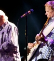 The Beach Boys: Photo By Ros O'Gorman