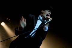 The Hives