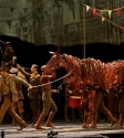 War Horse: Photo By Ros O'Gorman