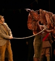 War Horse: Photo By Ros O'Gorman