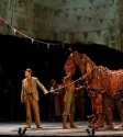 War Horse: Photo By Ros O'Gorman