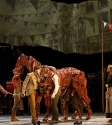 War Horse: Photo By Ros O'Gorman