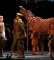 War Horse: Photo By Ros O'Gorman