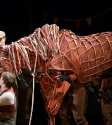 War Horse: Photo By Ros O'Gorman