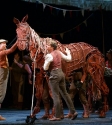 War Horse: Photo By Ros O'Gorman