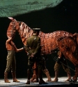 War Horse: Photo By Ros O'Gorman