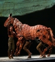 War Horse: Photo By Ros O'Gorman