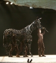 War Horse: Photo By Ros O'Gorman