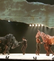 War Horse: Photo By Ros O'Gorman