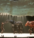 War Horse: Photo By Ros O'Gorman