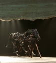 War Horse: Photo By Ros O'Gorman